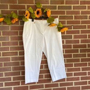LOFT Julie Crop Pants